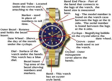 rolex anatomy|rolex watches.